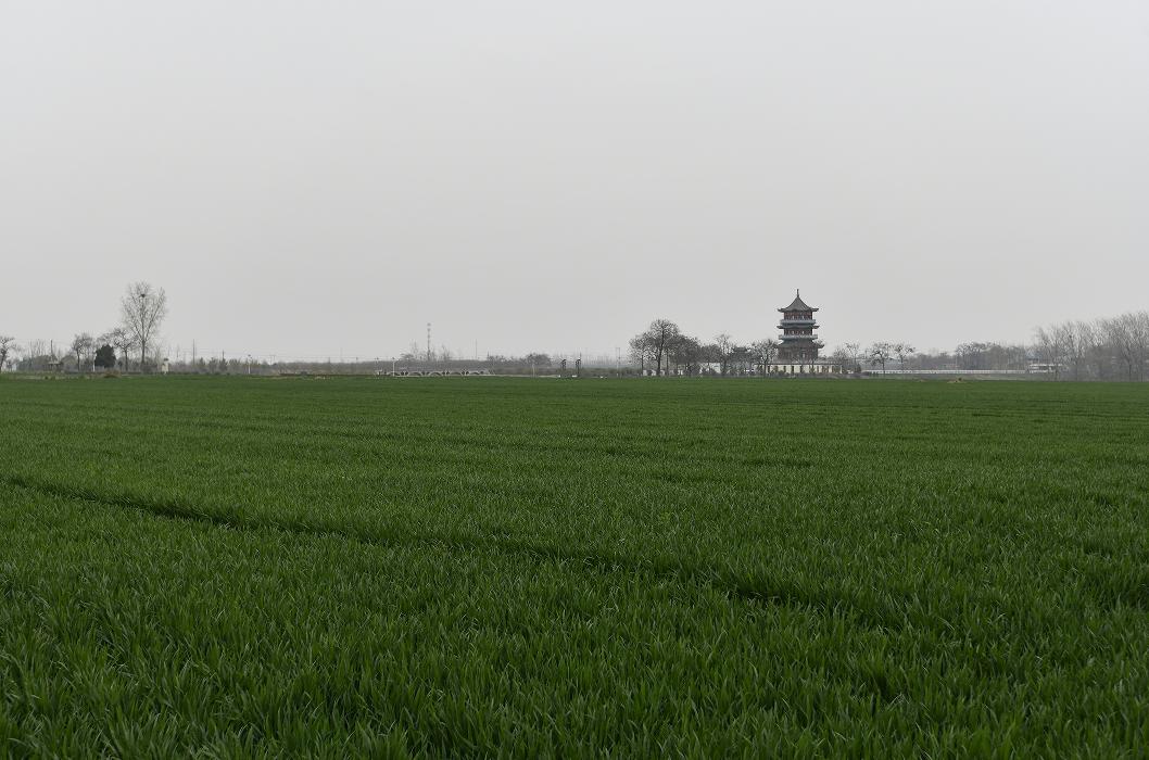 历史上的石磨盘,中国最大的千年石磨盘在哪里