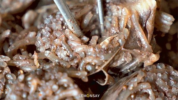 朋友总是把我挂在嘴边怎么办,朋友老是把你赚钱多挂嘴边