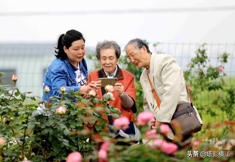 2021我的难忘记忆,我的2020高考独家记忆