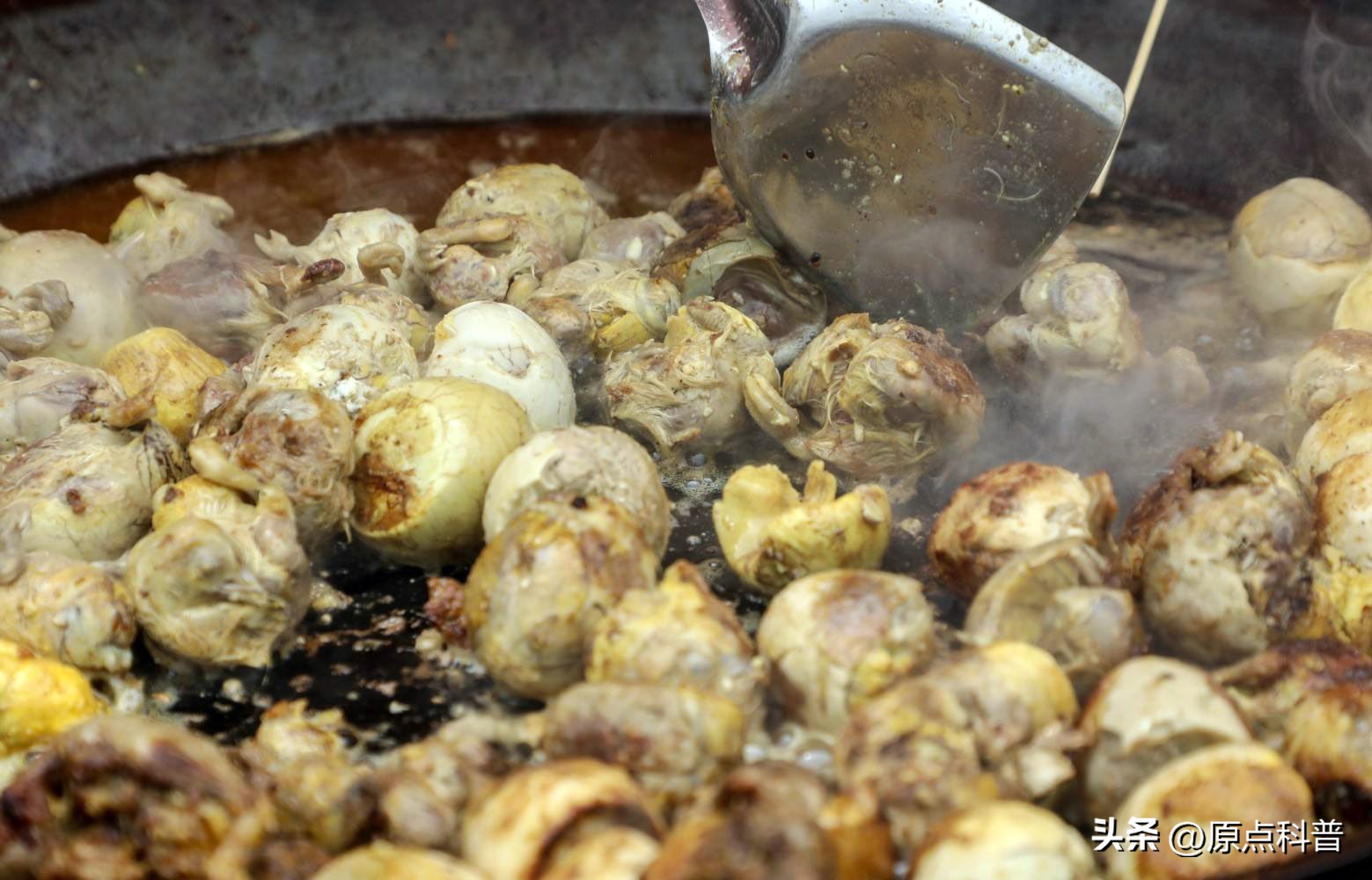 中国人吃了十大奇葩食物,盘点我们中国十大残忍美食