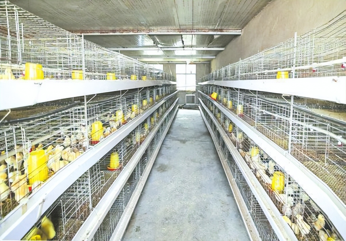 随州唐县镇现在的发展,唐县各乡镇经济实力