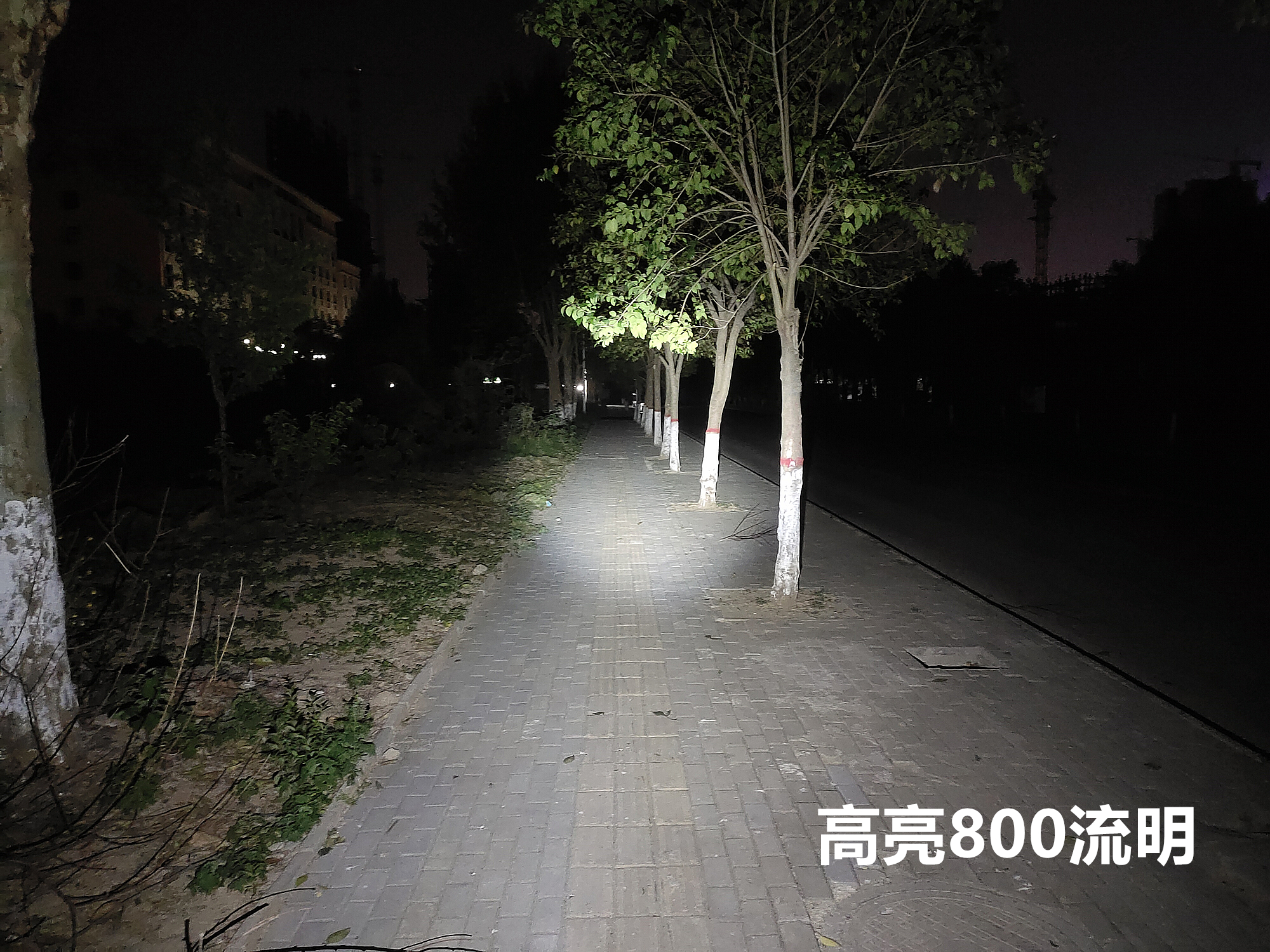 鍌查浄warrior3s,鍌查浄姝﹀＋warrior3s