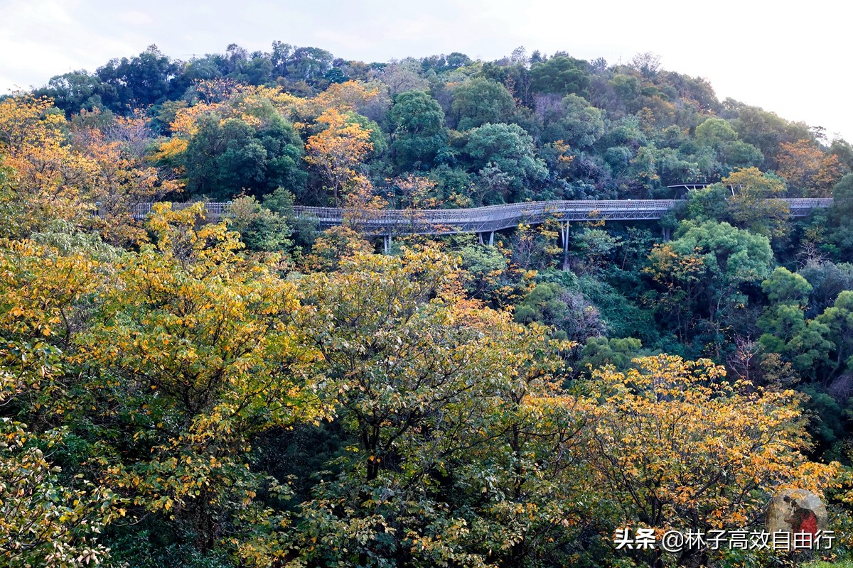 福州有哪些特色玩的,福州市区游玩攻略