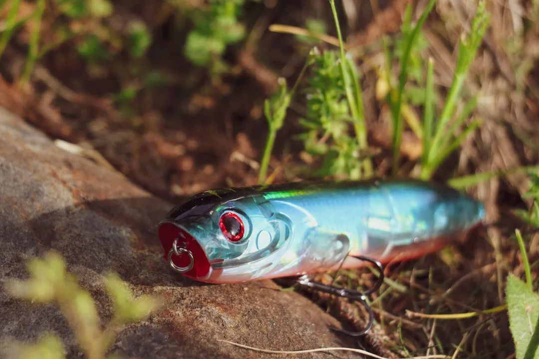 想学钓鱼新手需要买什么,新手学钓鱼最快的方法
