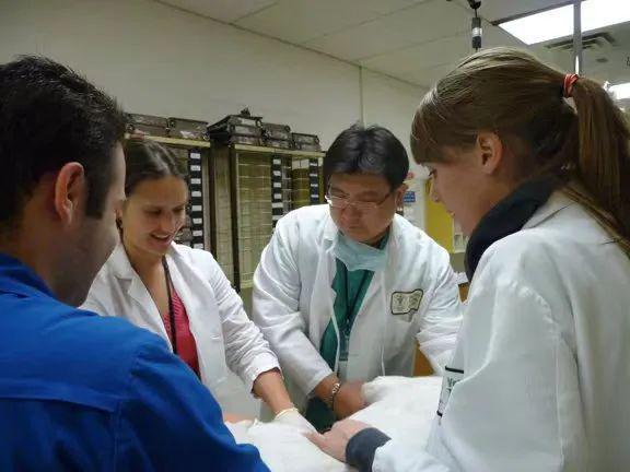 魏仁生内科,宠物医生魏仁生