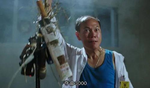 一生中见过最可爱最英俊的动物猫,看似温柔实则凶猛无比的猫科动物