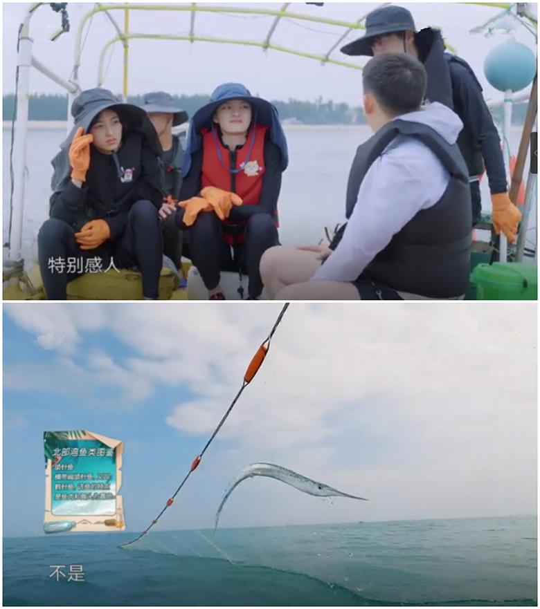 向往的生活就是真实的生活,向往的生活就是普通人的生活