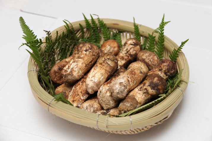 五一小长假，百万粉丝抖音主播邀你走进杭州大厦LSE超市