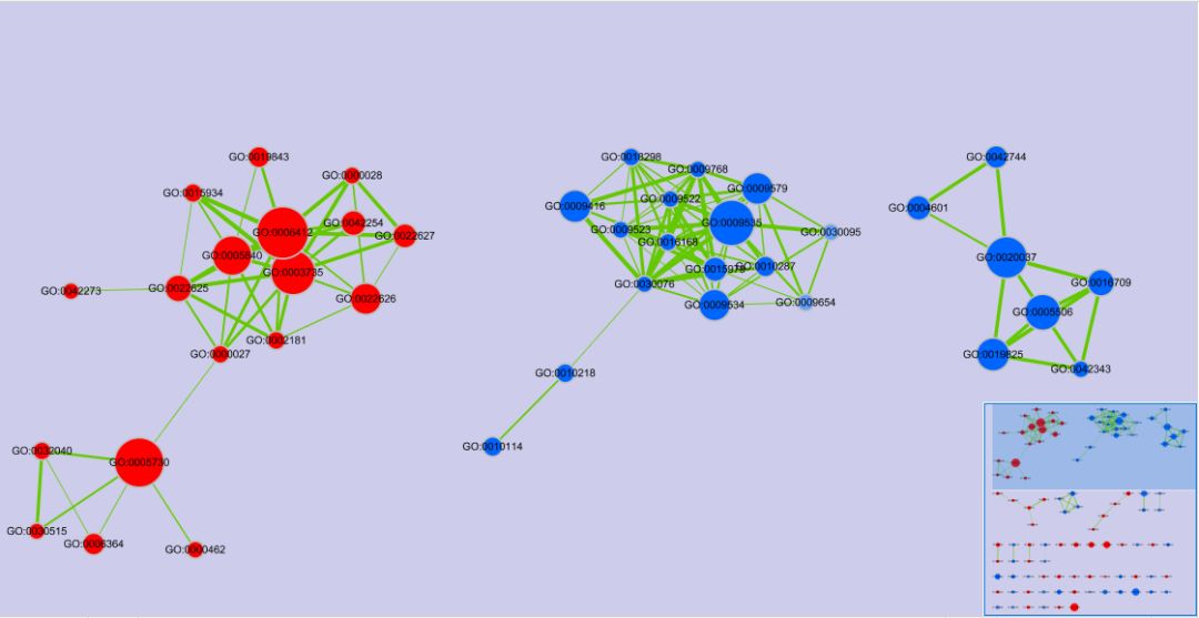 gsea怎么用,gsea数据怎么解读