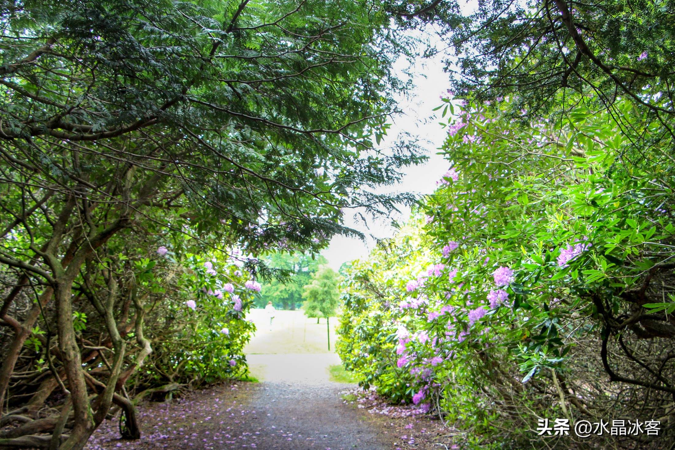 英国行（二）--苏格兰北爱尔兰和爱尔兰