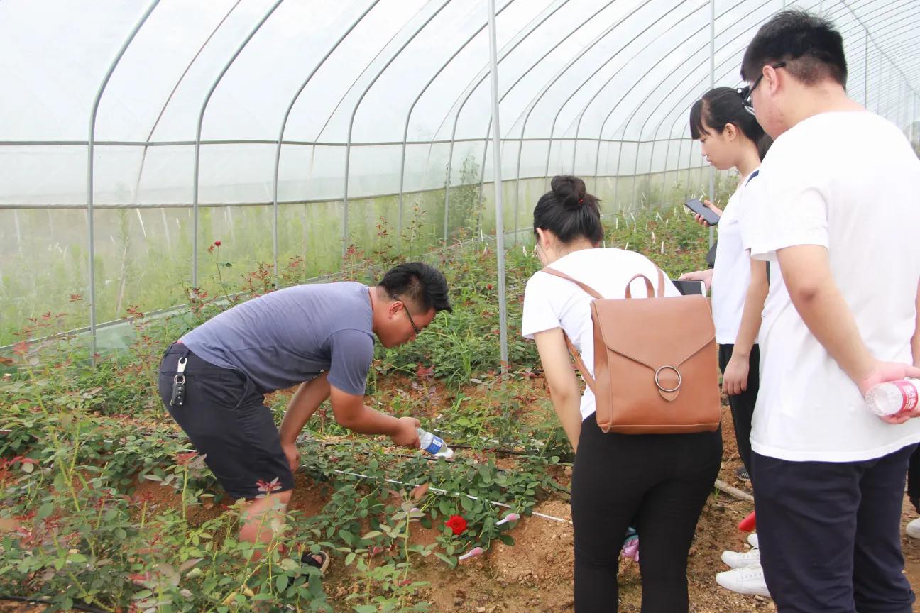 从创业竞赛走向创业实践,大学生创业模拟大赛心得