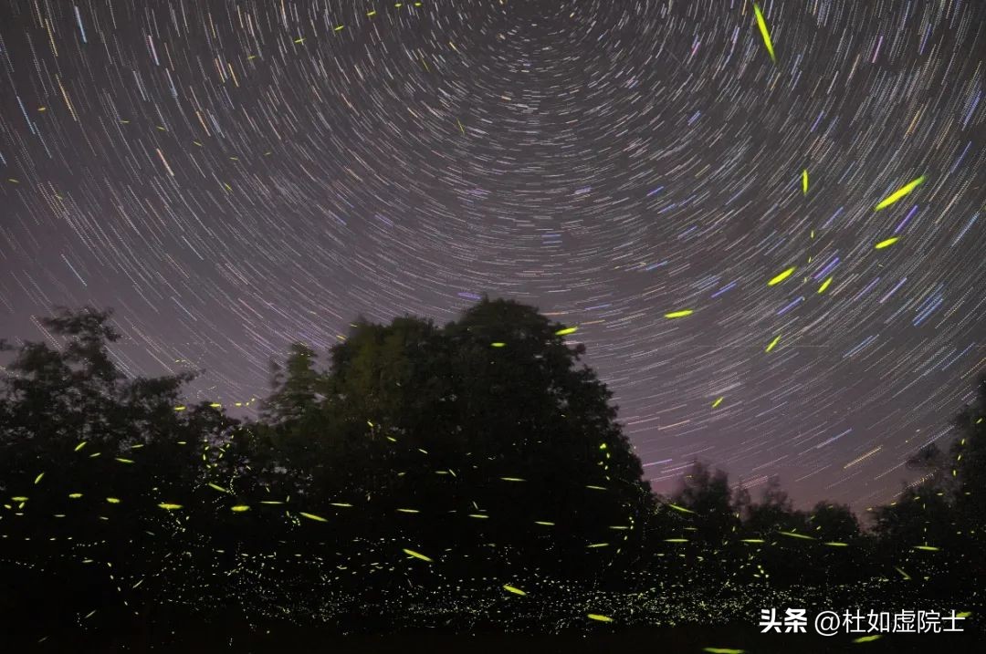 如虚如实说|杜院士带你揭开宇宙中最神秘的“同步”之谜