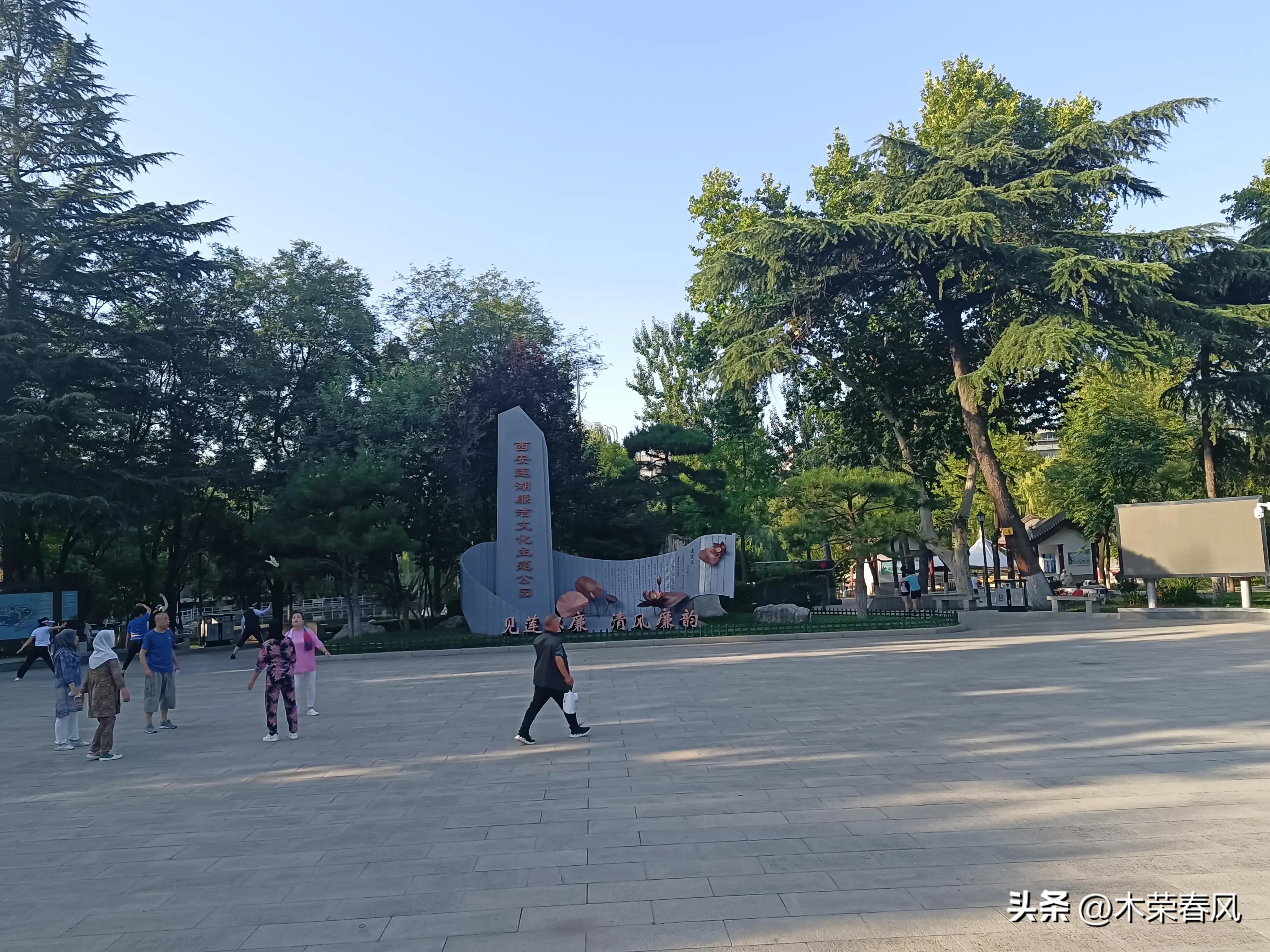 莲湖公园看荷花几点合适,莲湖公园荷花怎么走