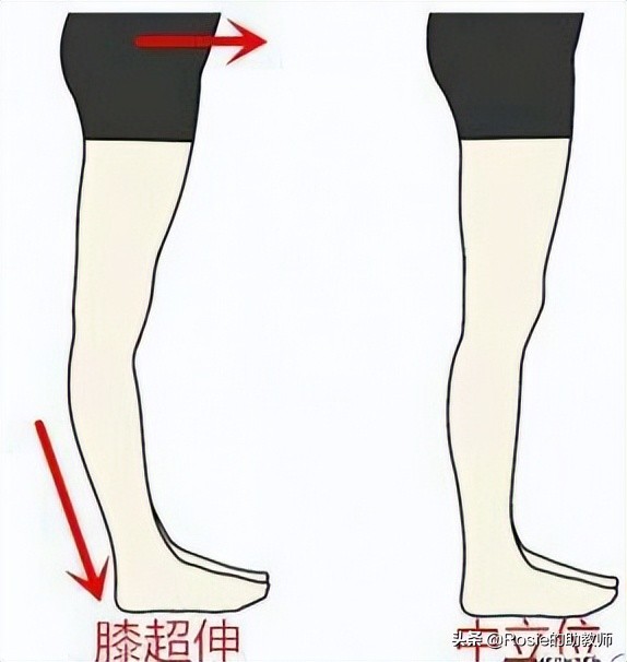 何穗大腿长还是小腿长,何穗腿围多少公分