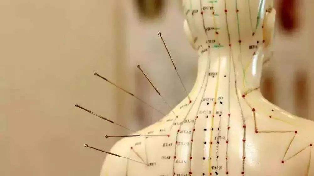 基于气血津液理论,探析阳虚质膝骨性关节炎的中医治疗