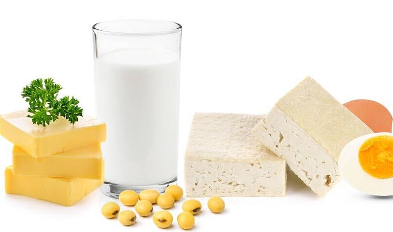 怎么减肥越减反而越胖,减肥背后真相大揭秘动画