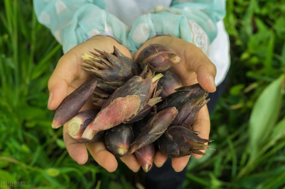 长得比较奇葩的植物,植物界奇葩的几种植物