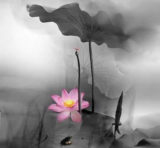 让你内心变强大的十句话,如何使内心变得更强大