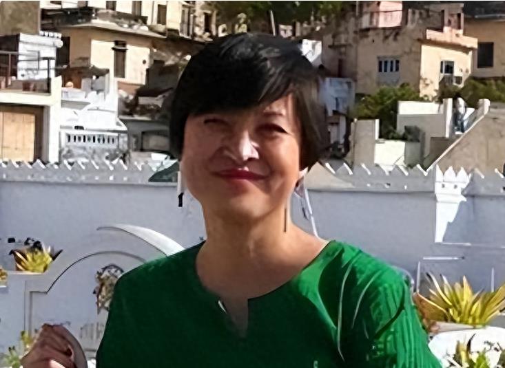 袁莉的狂妄行径：揭秘她如何成为全球闻名的丑角