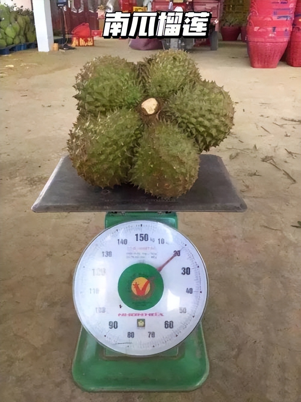 水果价格断崖式下跌,水果榴莲最低价