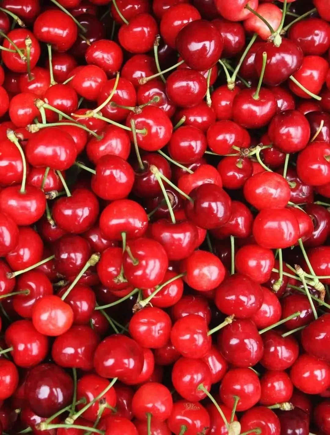 汶川旅游景点十大排行榜,四川旅游推荐汶川