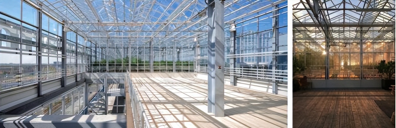 城市旧建筑屋顶的重生※——荷兰海牙德施尔德鱼菜共生农场