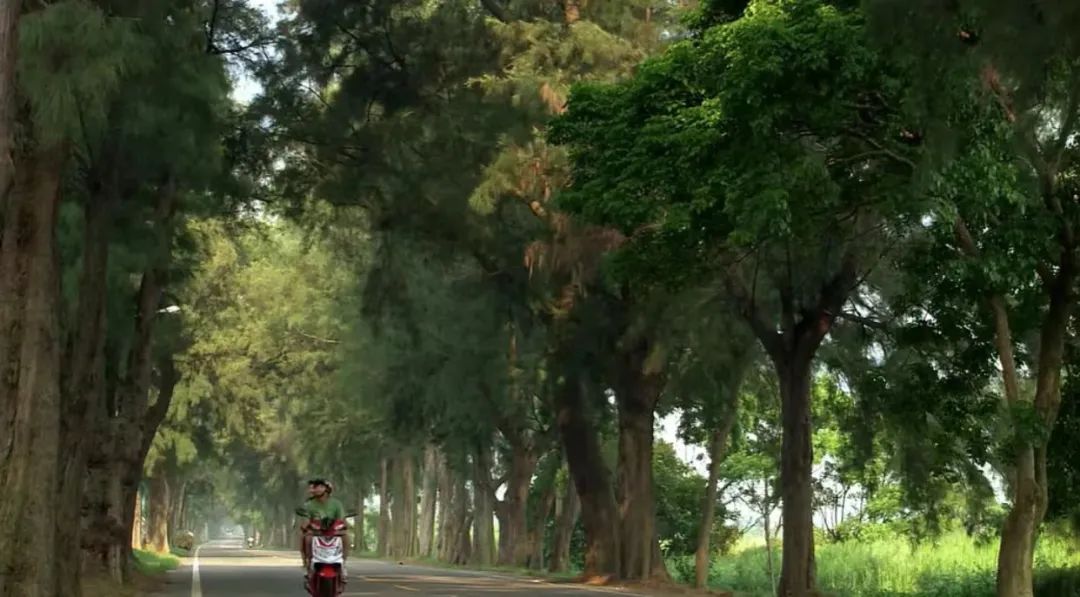 哪个人教会了你青春期的爱情？