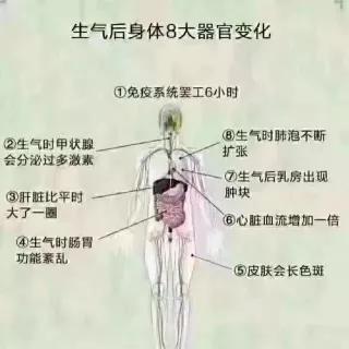 哈佛大学研究心理,哈佛研究长寿秘诀在于喝粥
