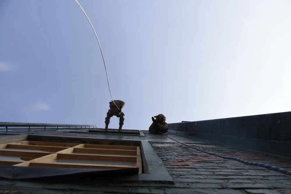 第71集团军“中野虎师”：“虎”为荣誉名，虎气霸屏！