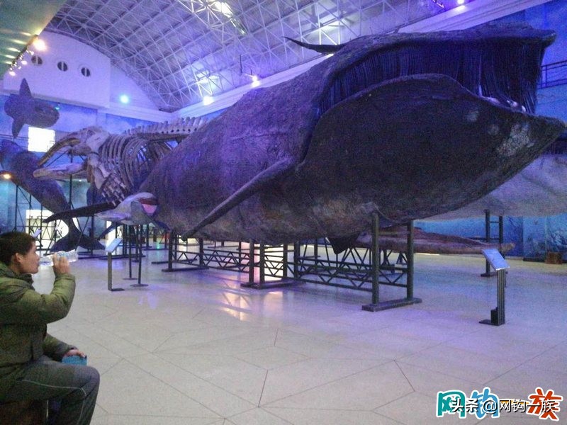 黑石礁自然博物馆的迷宫,大连黑石礁自然博物馆在哪