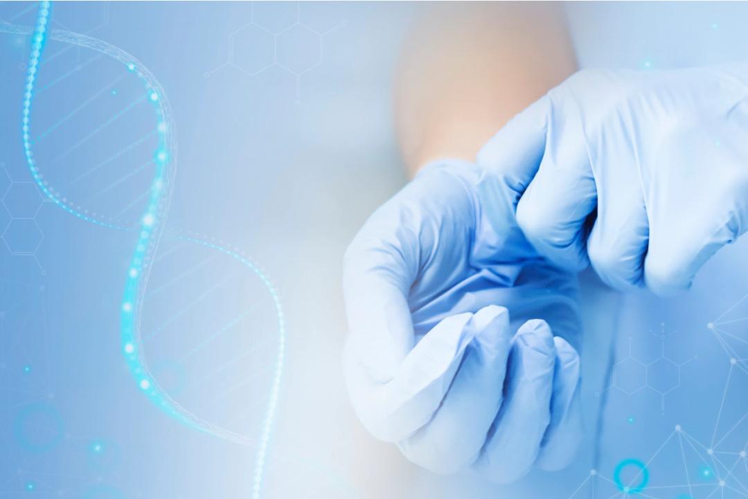 电子病历上怎么标出来必填项,电子病历怎么写的