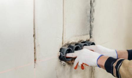 为什么把蟑螂踩死蟑螂会越来越多,蟑螂能踩死蟑螂吗