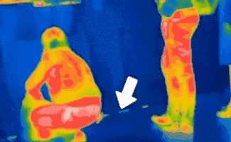 什么动物放屁是香的为什么,什么动物放屁最聪明