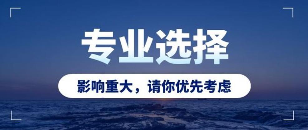 最好的文科专业汉语言文学,汉语言文学专业的专业名字