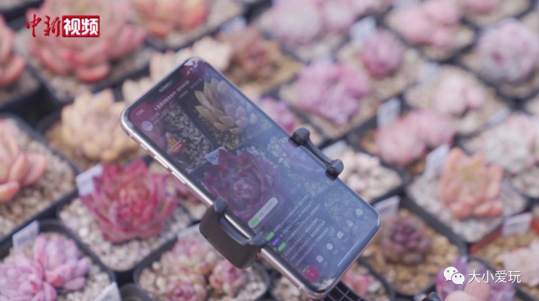 看了这些听都没听过的新兴职业,老母亲不淡定了