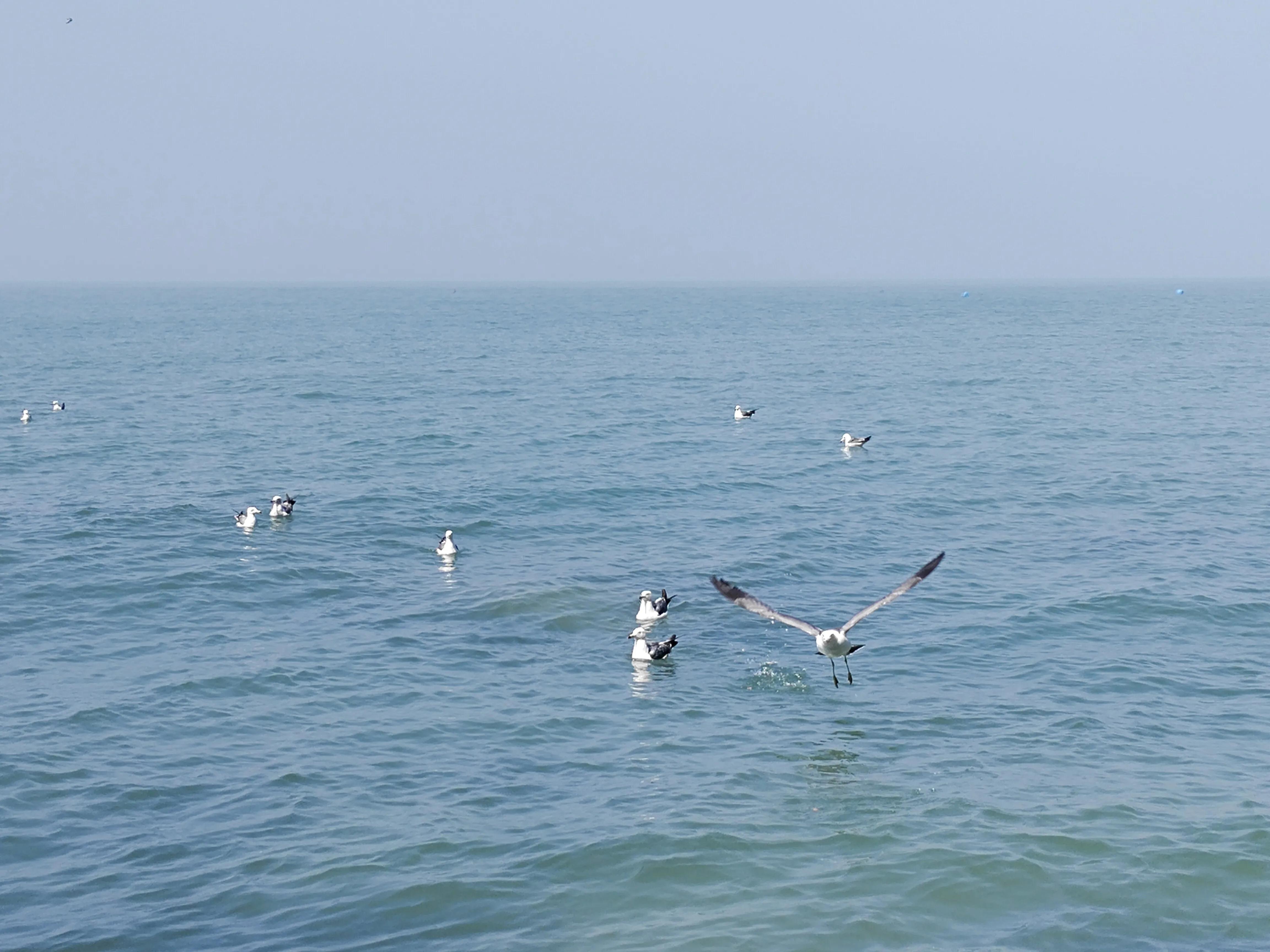 长岛旅游九丈崖,长岛一日游烟台的海