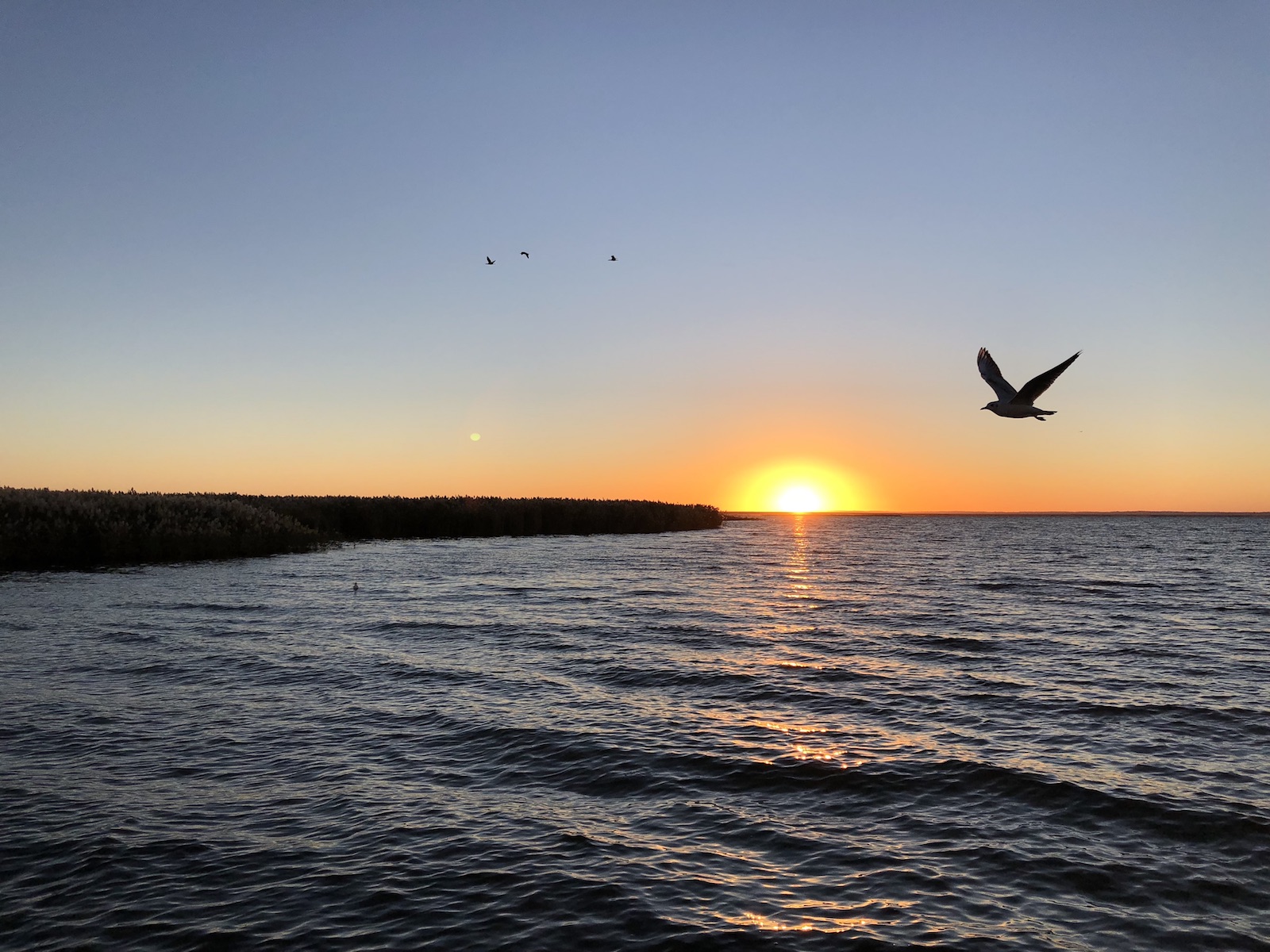 北京自驾额济纳胡杨林十天攻略,从北京到额济纳胡杨林线路