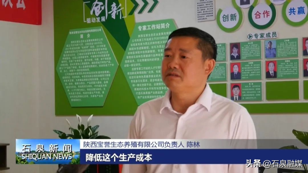 走基层看发展——池河镇丨石泉县池河镇：构建生猪全产业链条助推产业高质量发展