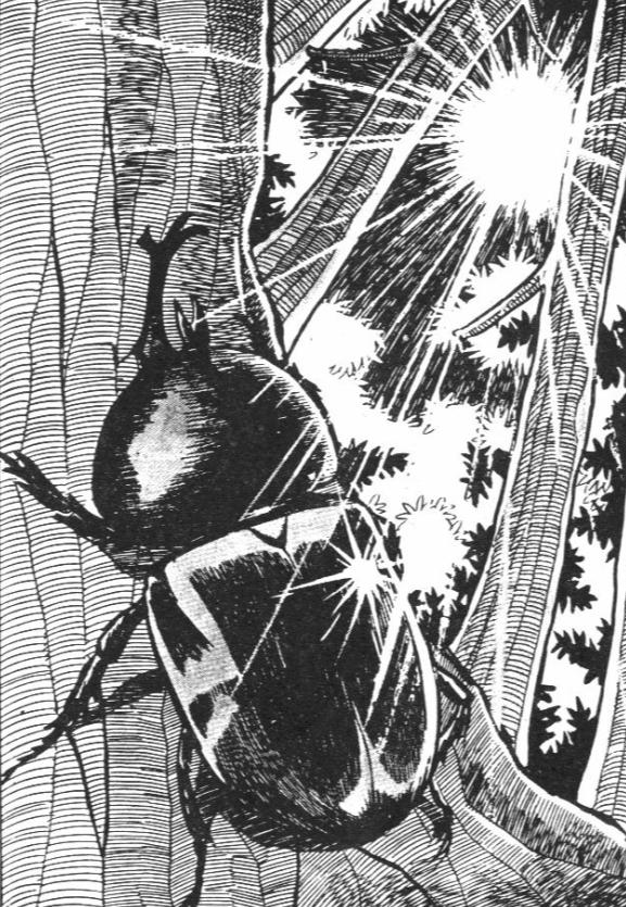 灌篮高手漫画家井上雄彦,灌篮高手井上雄彦漫画