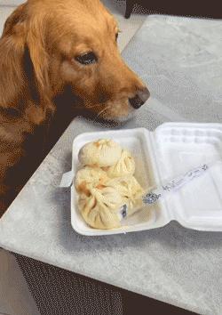 开心搞钱,开心一刻搞笑瞬间