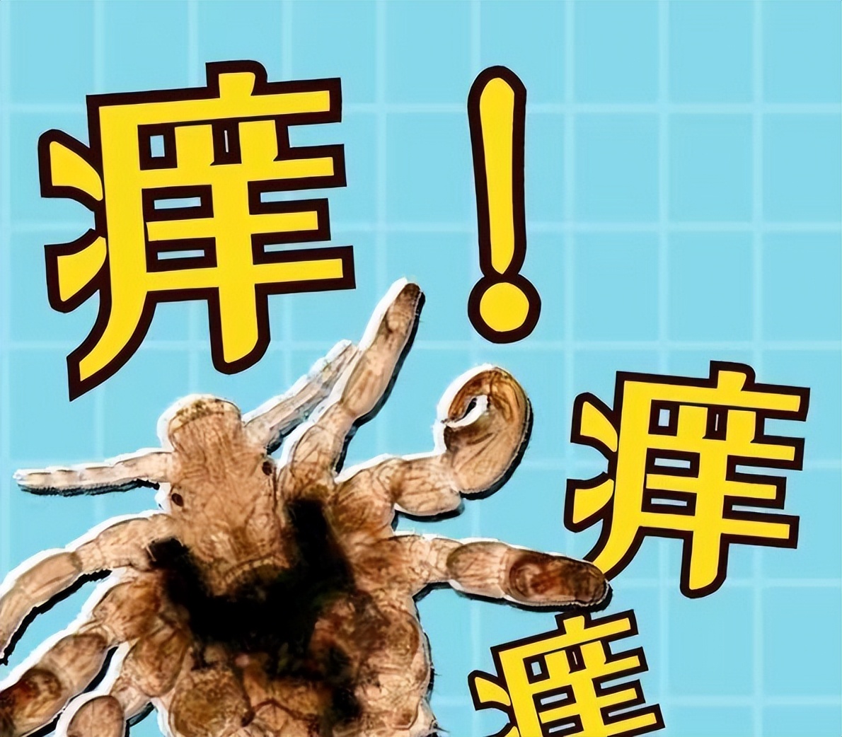 男子腹部痒，医生用镊子夹出12只阴虱！原来阴虱有这3个传播途径