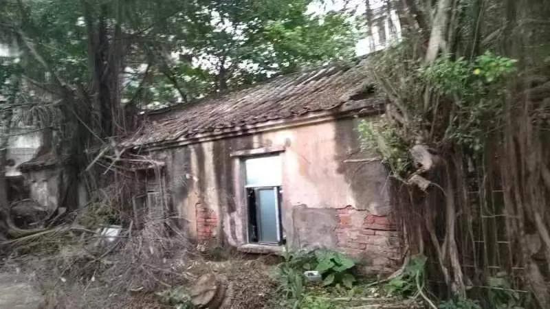 政府要求拆，法院不让搬！“中国速溶咖啡第一厂”危房困局何解？