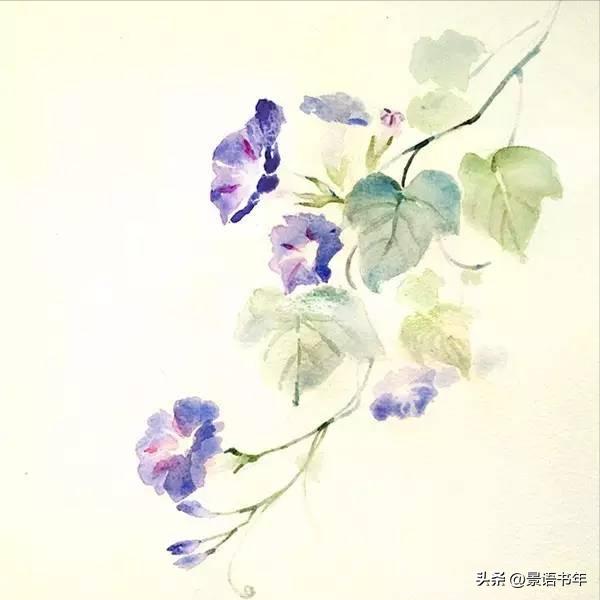 言情小说推荐甜宠文马甲女强完结,古言小说推荐榜甜宠文首辅