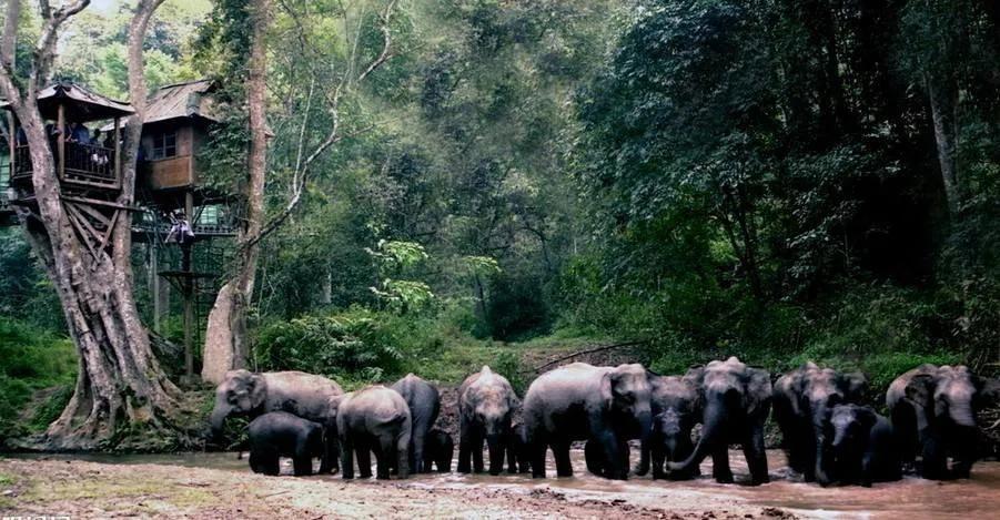 导游杨卫东,杨卫东安吉照片