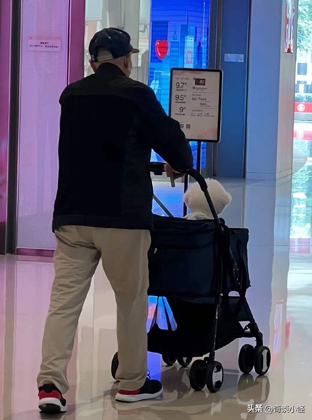 宠物婴儿车,宠物出门婴儿车