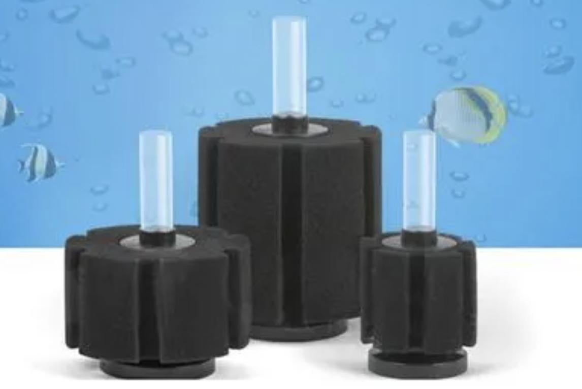 孔雀鱼的幼鱼饲养方法视频,孔雀鱼的幼鱼饲养方法