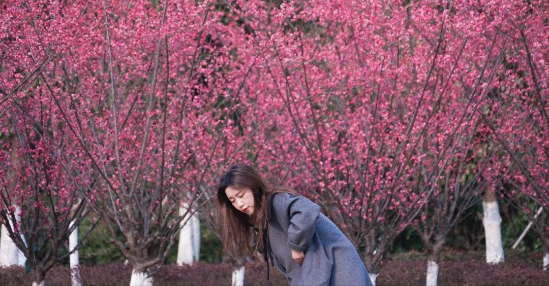 必去的苏州十大最美园林,来苏州必逛的四大园林