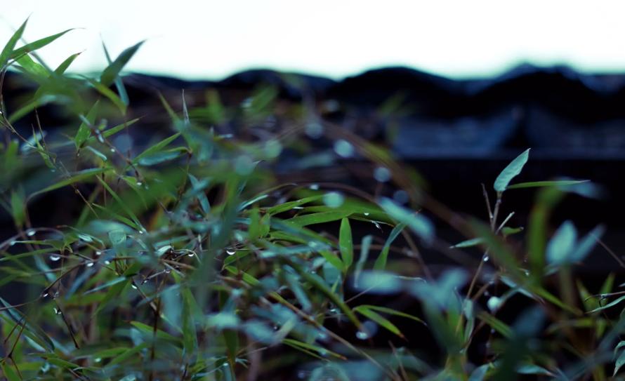 有关冬日的雨的诗句,描写寒冷的冬雨的诗句