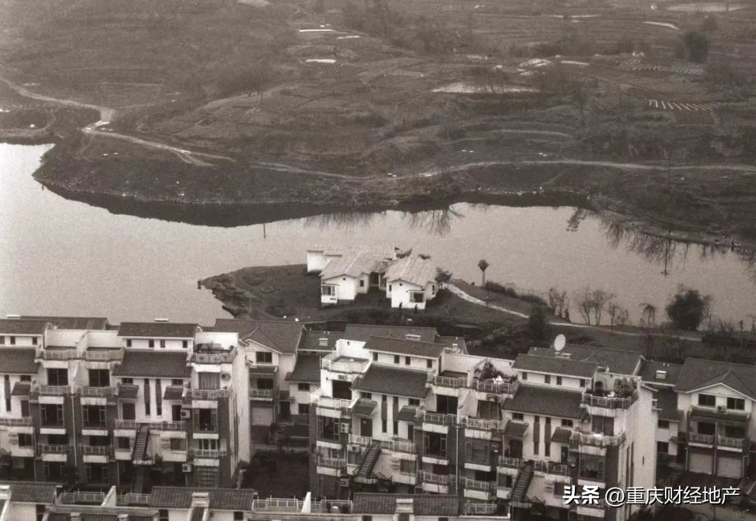 从*旗国**手到保安，我与香樟林守望20年