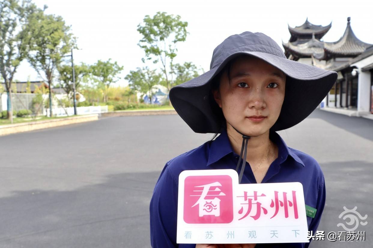 珍稀植物金毛狗蕨,国家一级保护植物金毛狗蕨